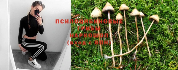 дживик Алзамай