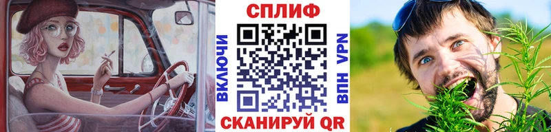 Каннабис MAZAR Борзя
